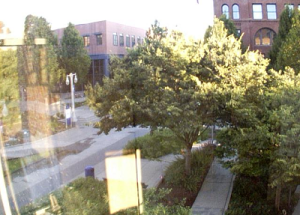 Веб камера Сиэтл. Университет Вашингтона, вид из корпуса