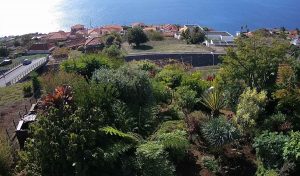 Побережье Кальета на острове Мадейра в Португалии