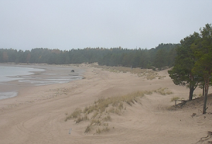 Веб камера Финляндия, Пори, пляж Юютери, вид на север