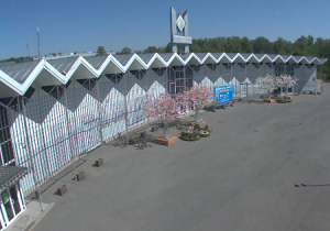 Веб камера Москвы, КВЦ «Сокольники», павильон № 2 и Фестивальная площадь