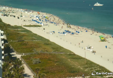 Веб камера Флорида, Майами, отель Hilton Bentley Miami/South Beach Веб камера Флорида, Майами, отель Hilton Bentley Miami/South Beach