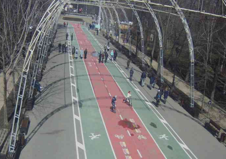 Веб камера Москвы, парк Сокольники, Центральная аллея