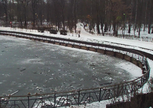 Веб камера Москвы, парк Сокольники, Майский пруд