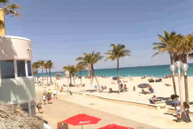 Веб камера показывает вид из отеля Walkabout Beach Resort в Голливуд-Бич Вид из отеля Walkabout Beach Resort в Голливуд-Бич