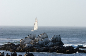Залив Monterey Bay в городе Монтерей в Калифорнии