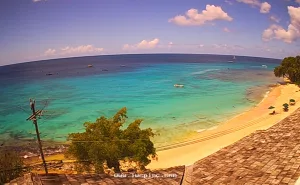 Веб камера Барбадоса, Залив Пейнс (Paynes Bay)