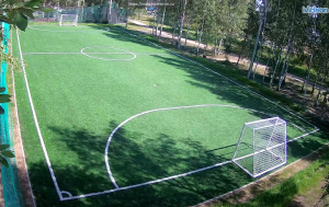 Футбольное поле в Спортивной деревне Новинки