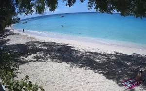 Веб камера Барбадос, Пляж Гиббес Бич (Gibbs Beach)