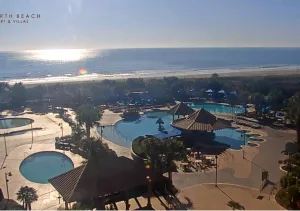 Веб-камера Миртл-Бич, Отель North Beach Plantation 4*
