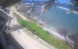 Веб камера Барбадоса, Залив Тент (Tent Bay)