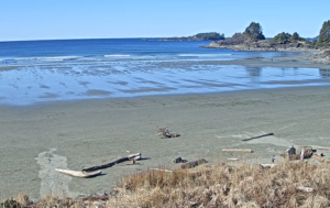 Веб-камера Канады, Пляж Кокс-Бей