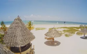 Веб-камера Занзибара, пляж Паже (Paje Beach)