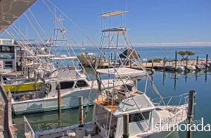 Веб-камера Исламорада, Китовая гавань (Whale Harbor Marina)