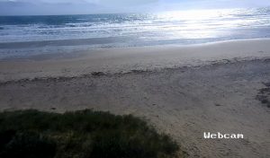 Веб камера Австралии, Аделаида, пляж Моана Бич