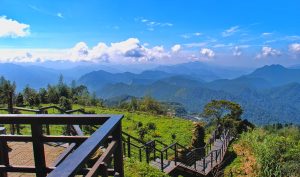 Веб камера Тайвань, горный район Алишань