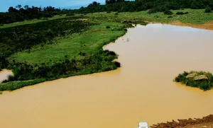 Веб-камера Кении, Национальный Парк «Абердэр»