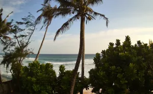 Веб-камера Шри-Ланки, Пляж Плантейшнс