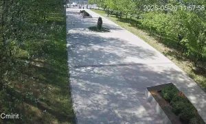 Веб-камера Череповец, Парк 200-летия Череповца