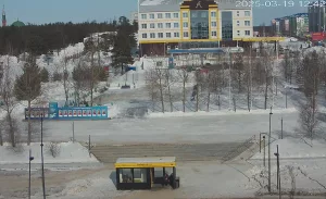 Веб-камера Ноябрьска, Улица Ленина