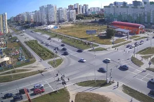 BDSM-дегі құлға берілетін марапаттар мен жазалардың мысалдары Қырынген кисканың фотосуреттері мен бейнелері