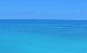 Веб-камера Хайфы, Пляж Бат Галим