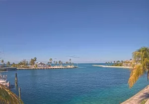 Веб-камера Багамских островов, Южная Элеутера
