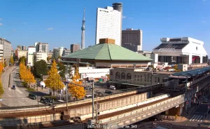 Веб-камера Токио, спортивная арена «Рёгоку Кокугикан»