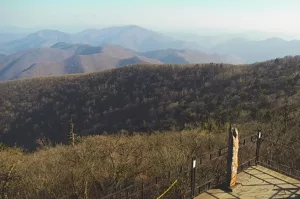 Веб-камера Южная Корея, Тропа Тысячелетнего Тисового Леса на горе Балвансан