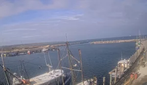 Веб-камера Гавань Менемша, Массачусетс