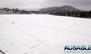 Веб-камера Зеркальное озеро, Нью-Йорк