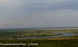 Веб-камера Анциферовский Бор, Река Онега